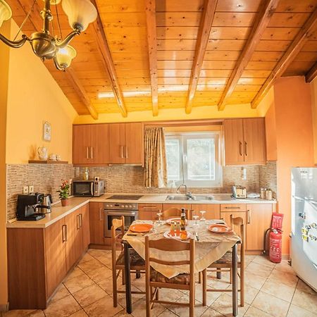パレオカストリッツアTsoukias Houseアパートメント エクステリア 写真